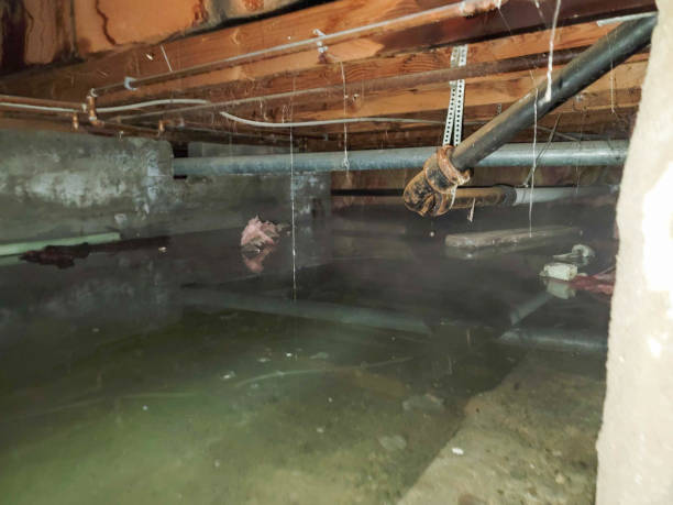 Best Residential water damage restoration  in Donna, TX