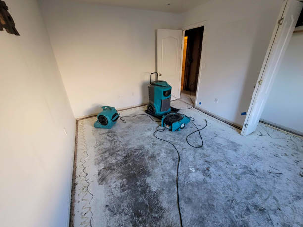 Best Emergency water damage restoration  in Donna, TX