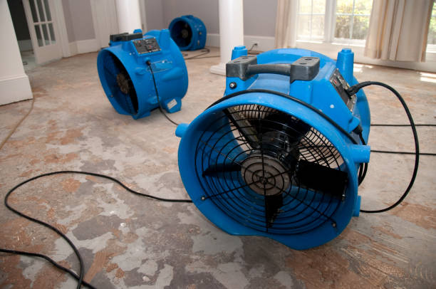 Best Local water damage restoration  in Donna, TX