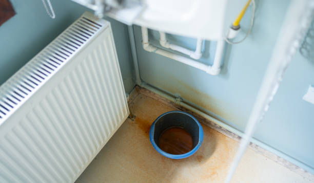 Carpet water damage restoration in Donna, TX