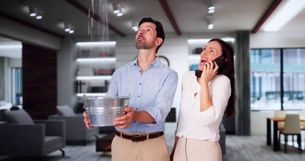 Best Sewage cleanup and water damage restoration  in Donna, TX